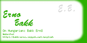erno bakk business card